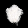 2501-0216-01